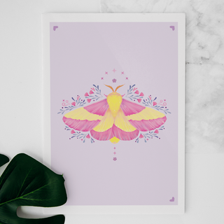 Carte Rosy Maple moth