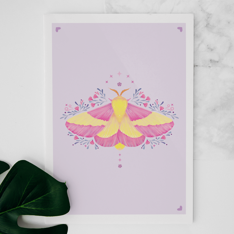 Carte Rosy Maple moth Main Image