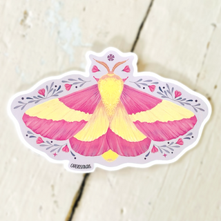 Sticker Rosy Maple moth