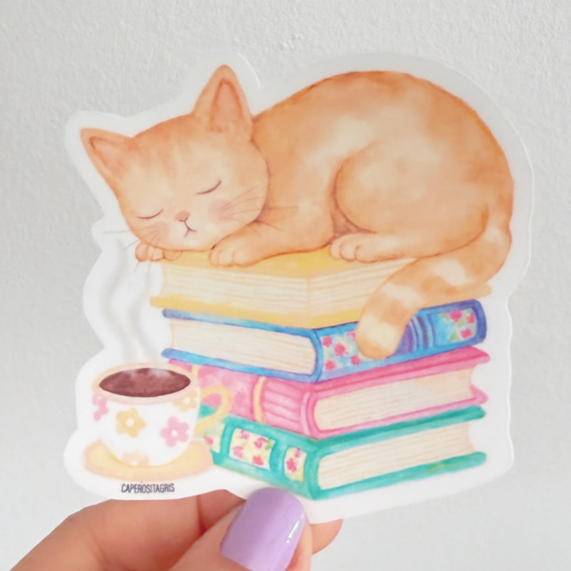 Sticker chat sur les livres