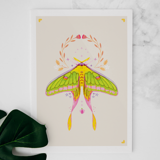 Carte Luna Moth