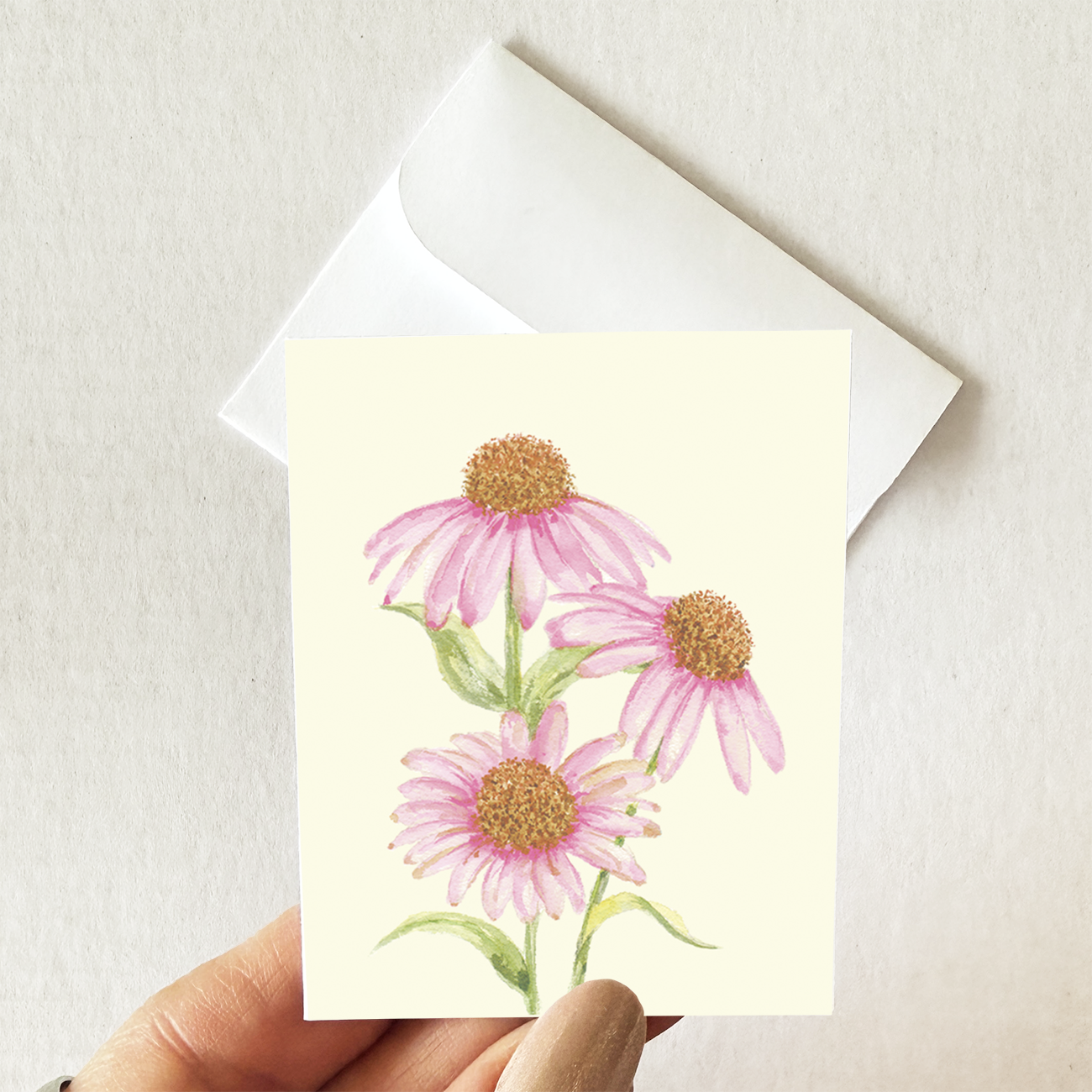 Carte mini Échinacée