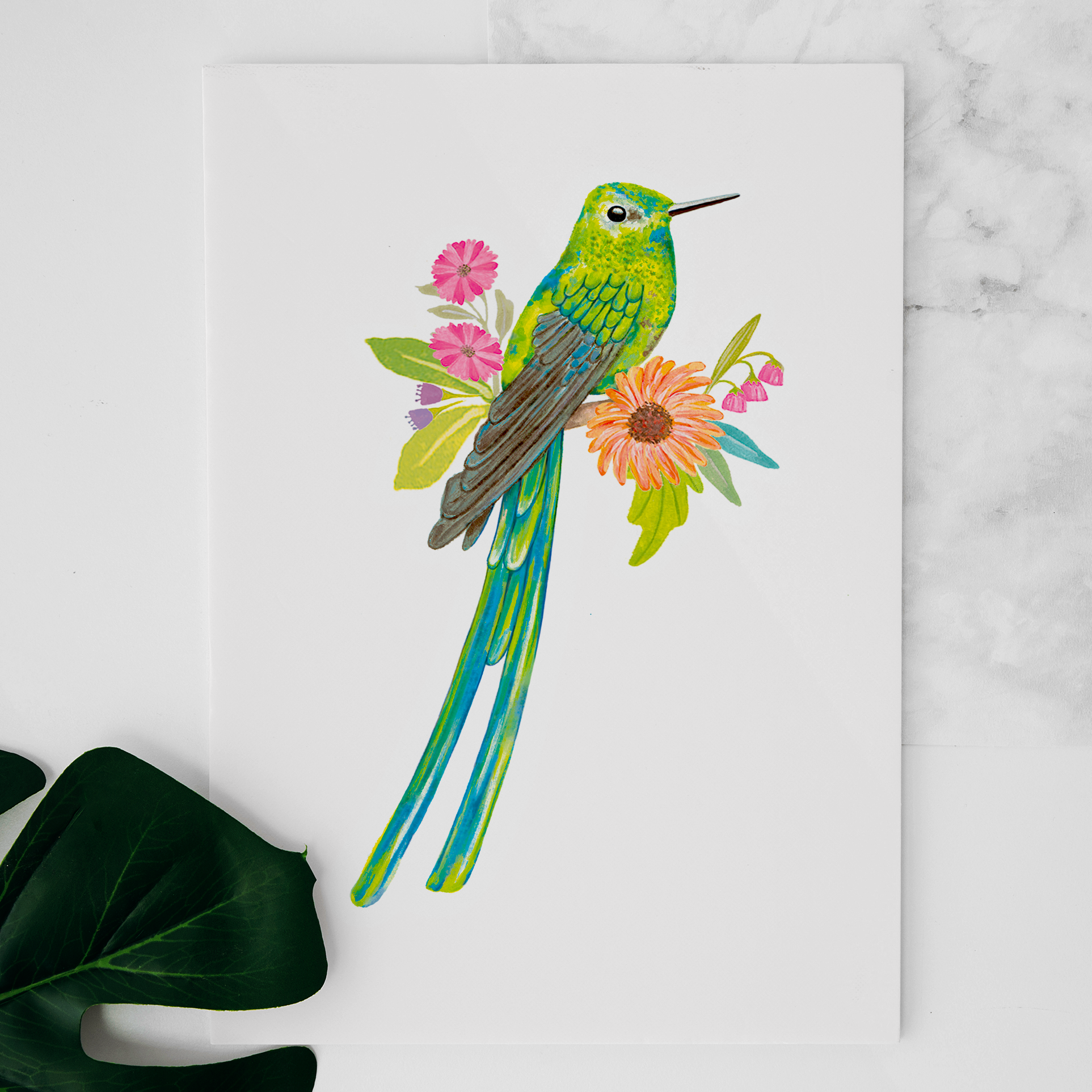 Carte colibri à longue queue