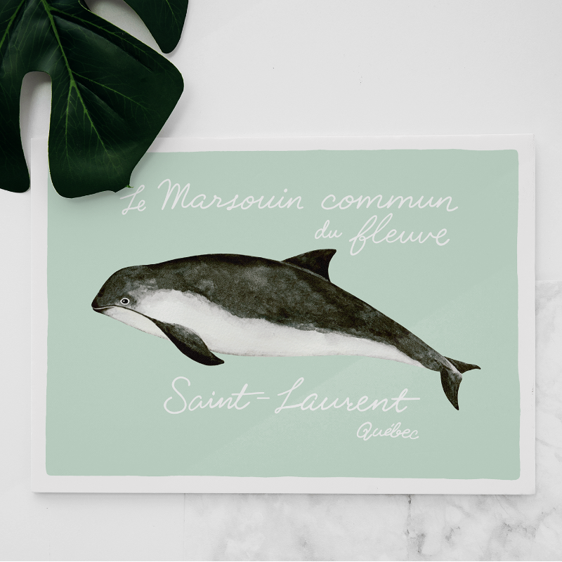 Carte Marsouin Commun Saint-Laurent