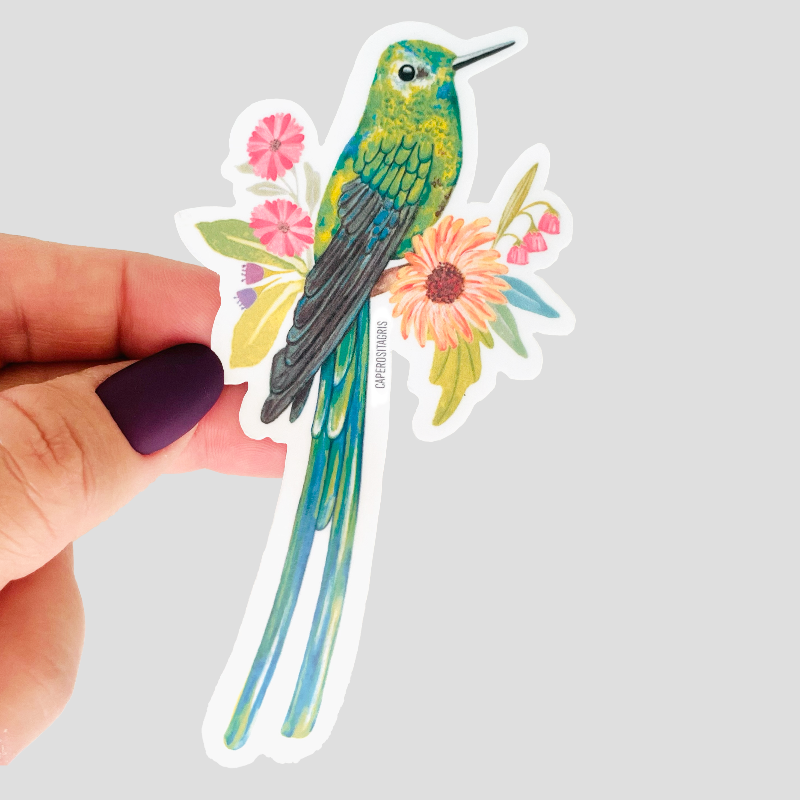 Sticker Colibri