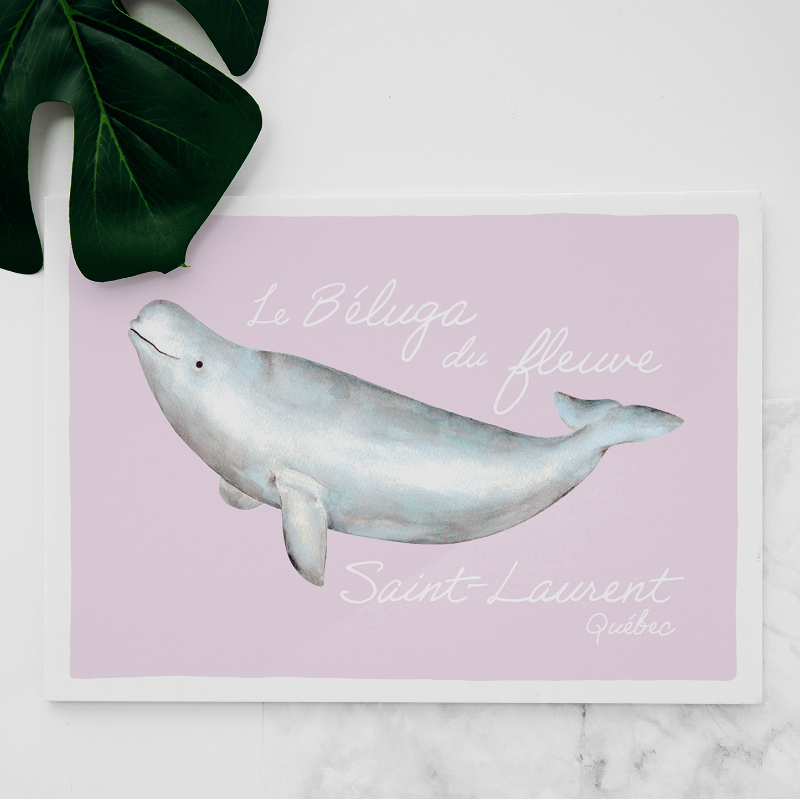 Carte Béluga Saint-Laurent
