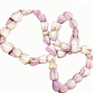 Erukkam Flower string/Arka flower string