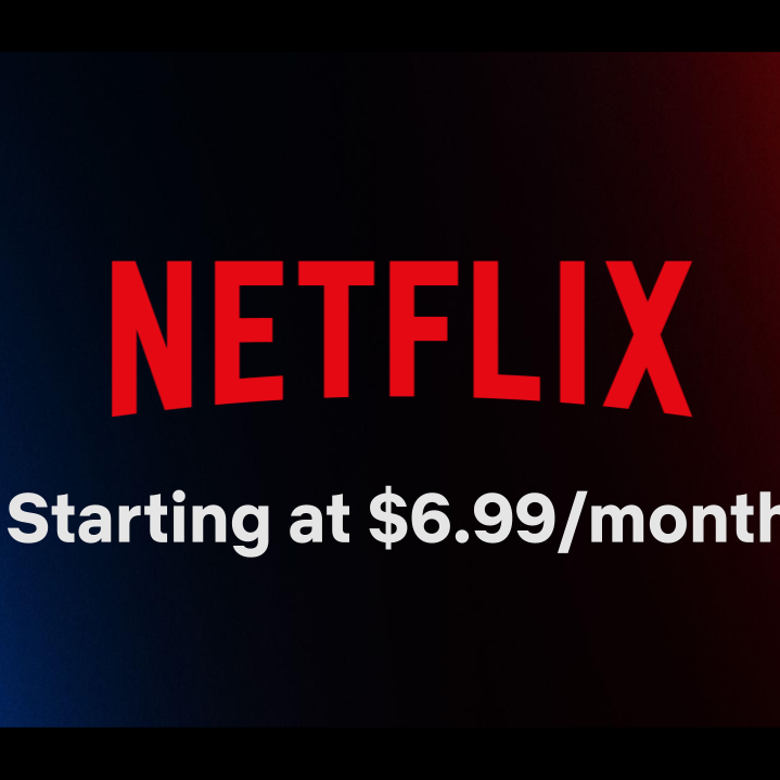 NETFLIX MONTHLY subscription ( $3.99 PER SCREEN)