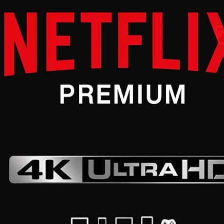 NETFLIX 6 MONTHS ( PRAVITE PROFILE)