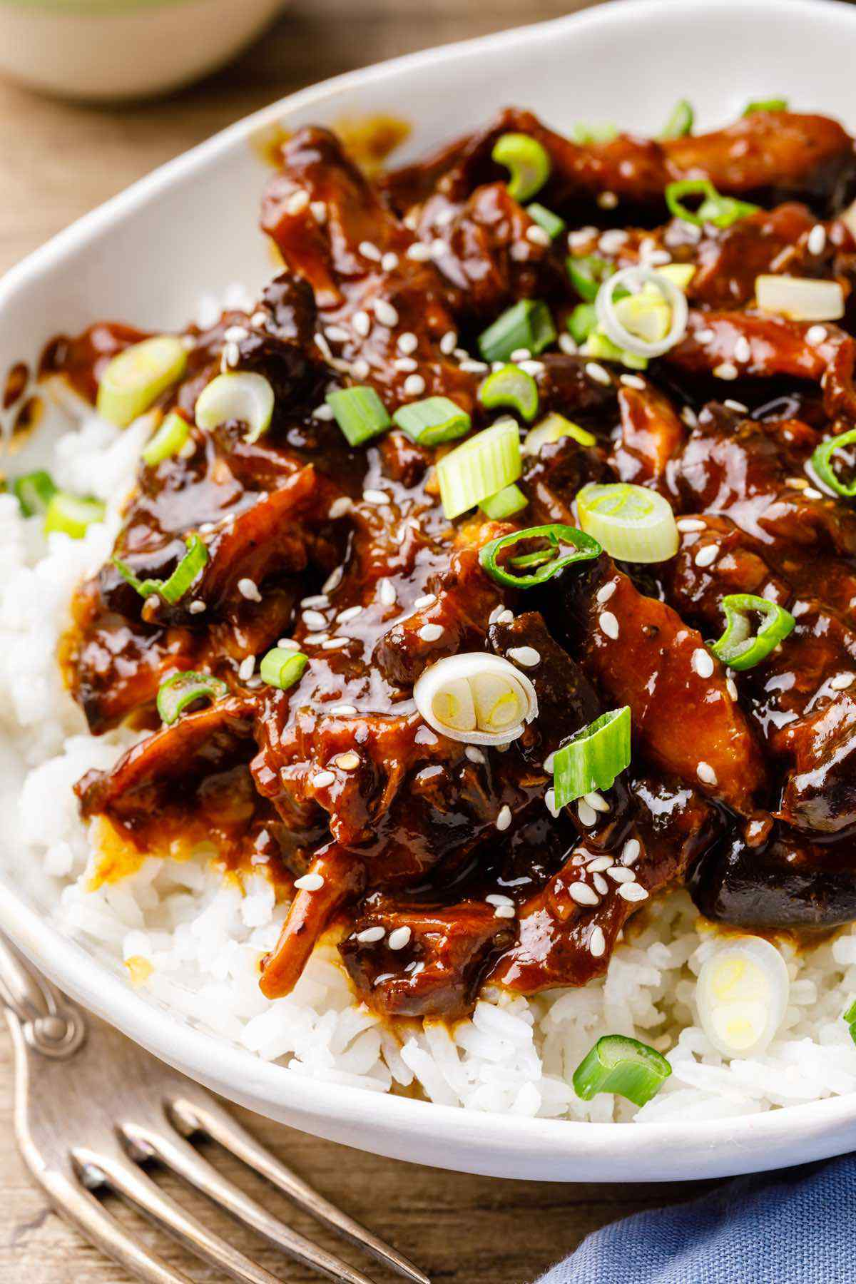 FTDI CROCKPOT TERIYAKI Chicken 1 Main Image