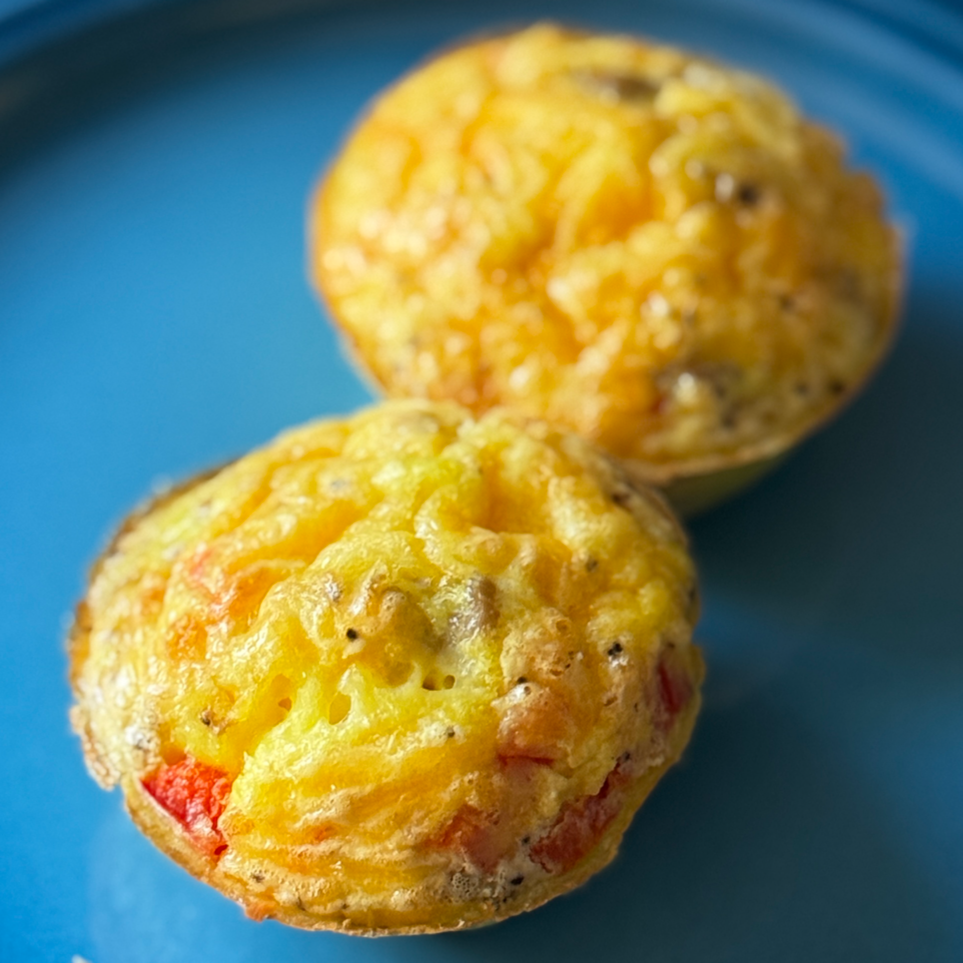 Egg Bites Main Image