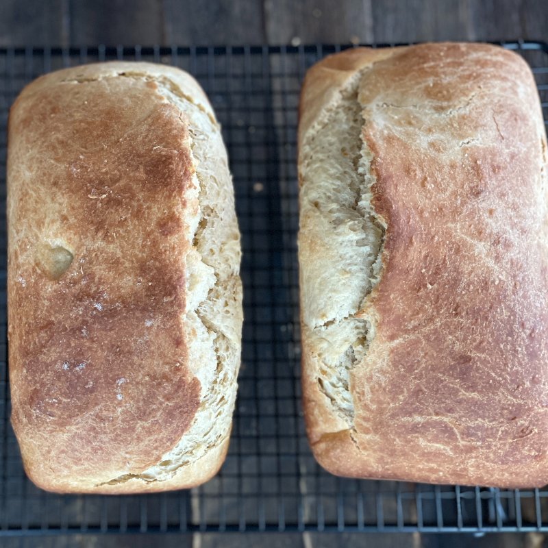 Brioche Loaf Main Image