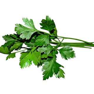 Flat Leaf Parsley (100g Pack)