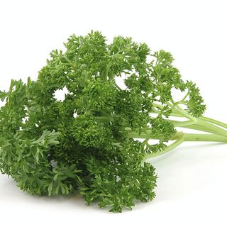 Curly Leaf Parsley (100gm Pack)