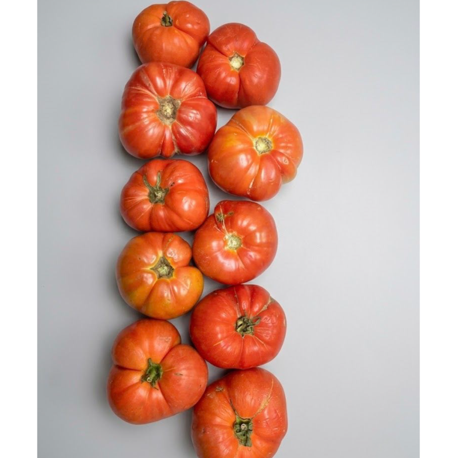Brandywine Beef Tomato (1kg pack) -LIMITED [Seasonal]