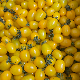Tomato, Cherry Yellow (250g pack)