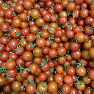 Tomato, Cherry Red (250g pack)