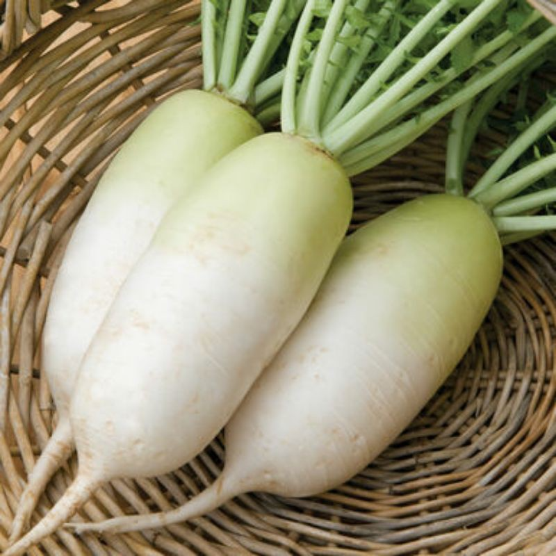 Radish, Daikon Korean (Weighed per piece)