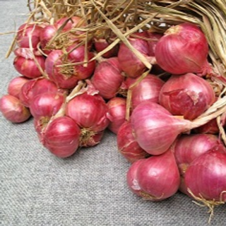 Onion, Native Shallots Lasona Dry (500g pack)