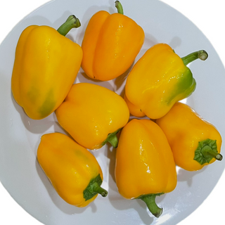 Capsicum/Bell, Yellow (500g pack) -LIMITED [Seasonal]