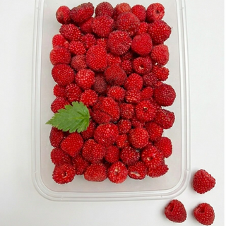 Sampinit / Wild Raspeberries (150-180g tub) -LIMITED