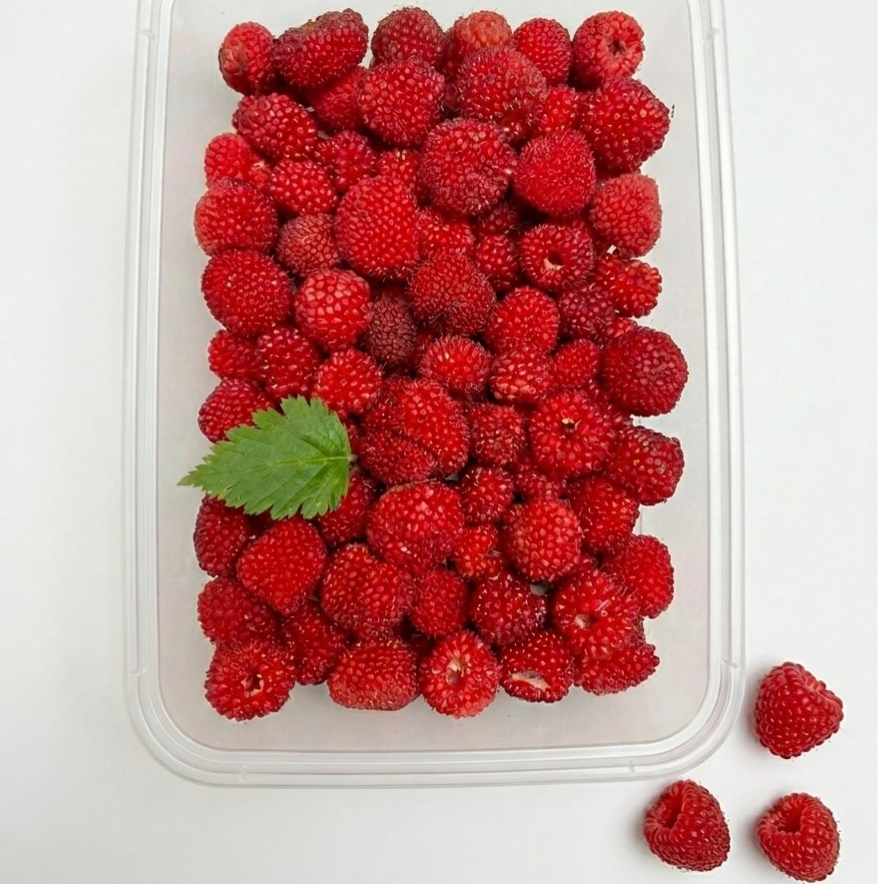 Sampinit / Wild Raspeberries (150-180g tub) -LIMITED