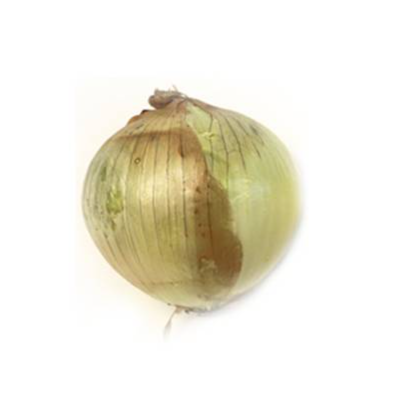 Onion, White Local (500g pack)