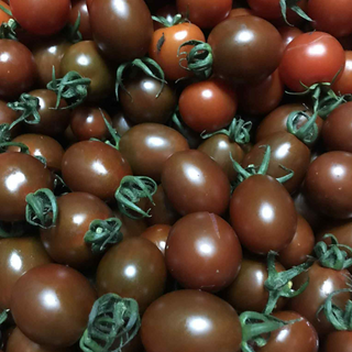 Tomato, Cherry Choco (250g pack)