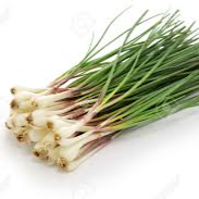 Onion, Japanese Rakkyo (500g pack) -LIMITED [Seasonal]