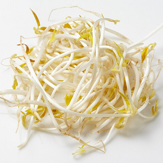 Beansprouts / Togue (500g pack) -LIMITED [Seasonal] 