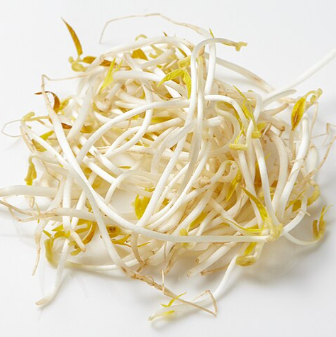 Beansprouts / Togue (500g pack) -LIMITED [Seasonal] 