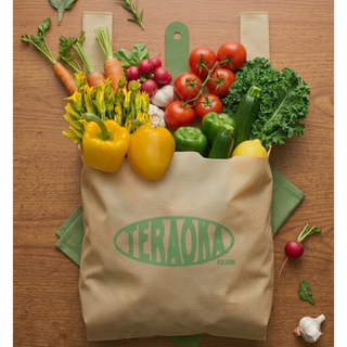 Teraoka Eco-bag