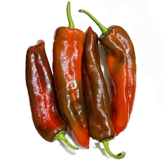 Peppers, Palermo (500g pack) -LIMITED [Seasonal]
