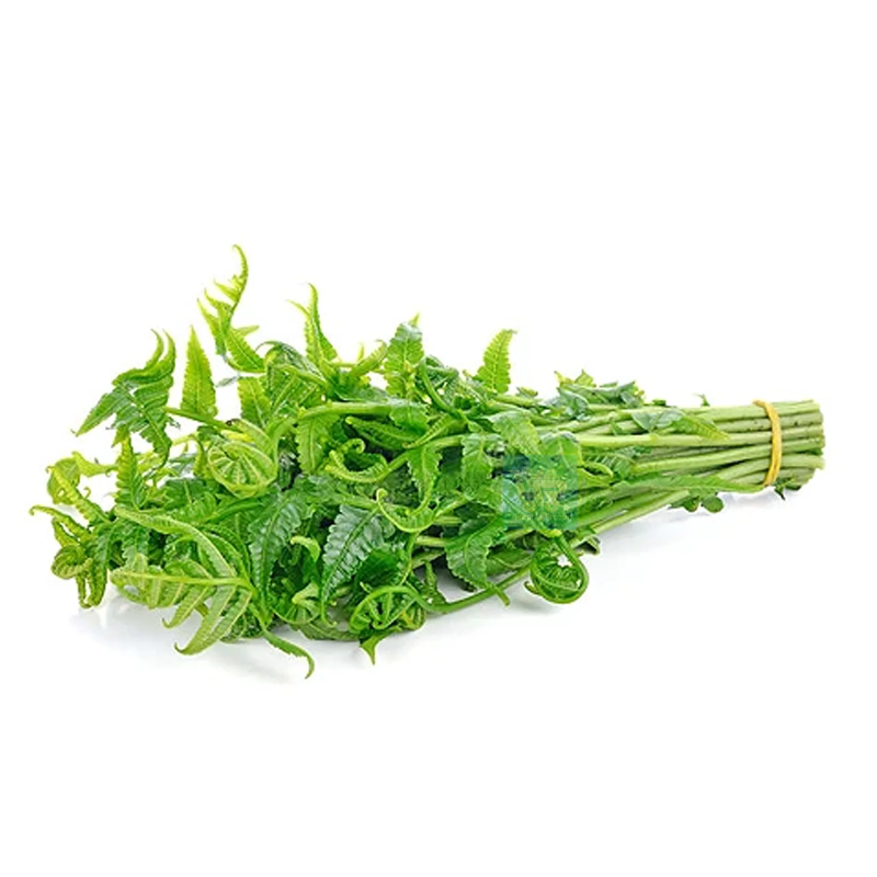 Pako Fern (250g pack) Main Image