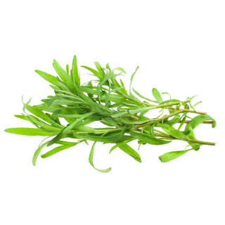 Tarragon (200g pack) -LIMITED [Seasonal]