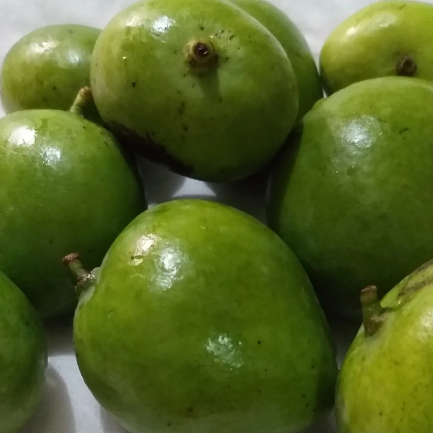 Mango, Indian (1kg pack) -LIMITED [Seasonal]