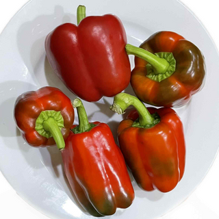 Capsicum/Bell Red (250g pack) -LIMITED [Seasonal]