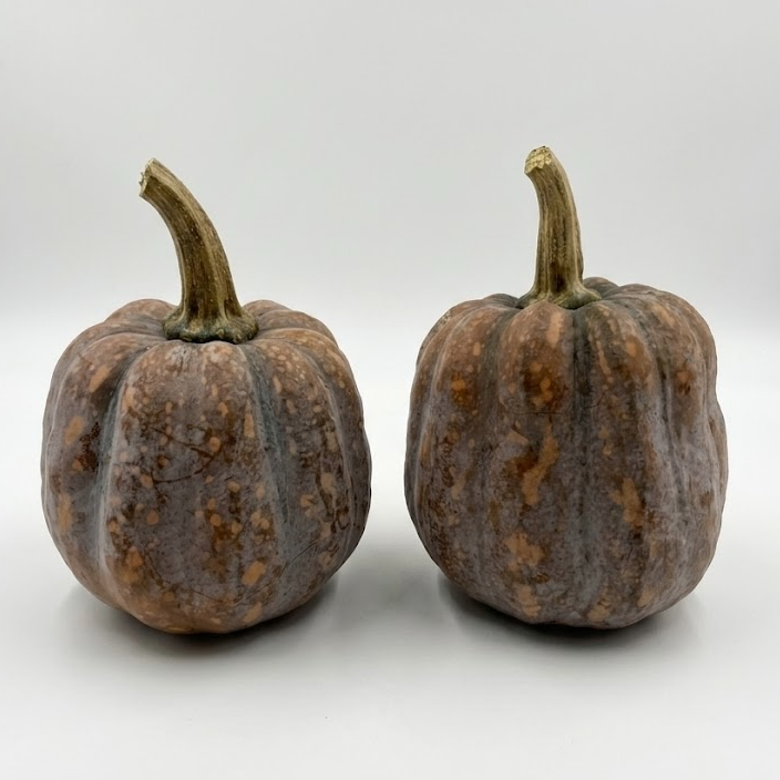Pumpkin, Mini (Weighed per piece)