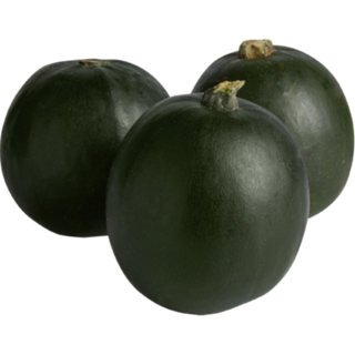 Gem Squash