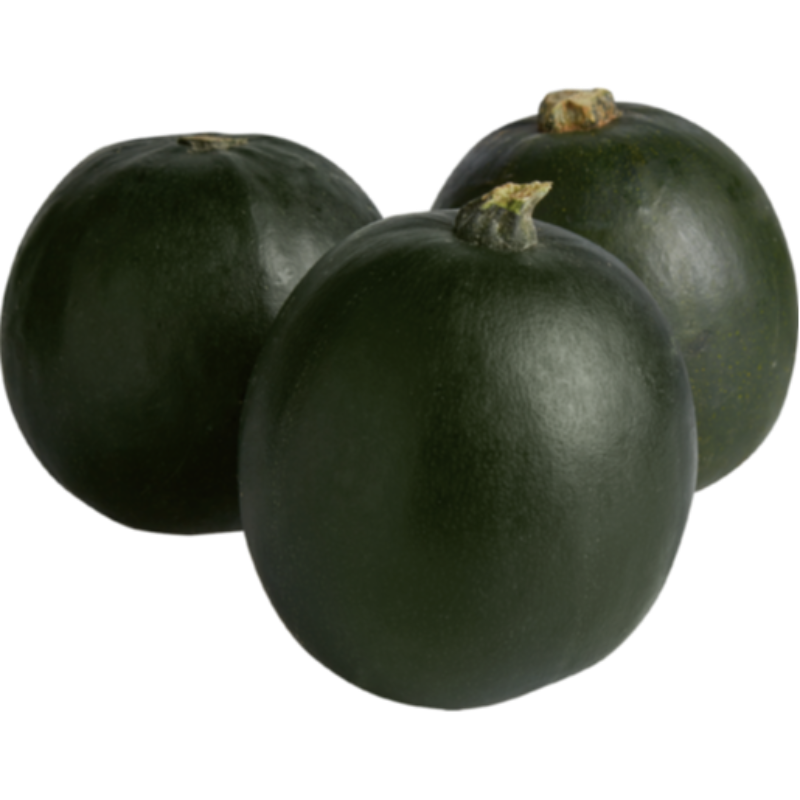 Gem Squash Main Image