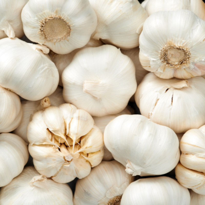 Fresh Garlic Main Image