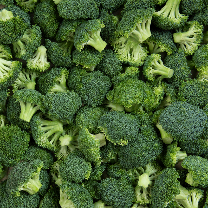 Broccoli Main Image