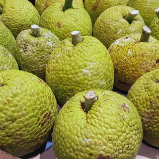 Breadfruit(Roasted) Image