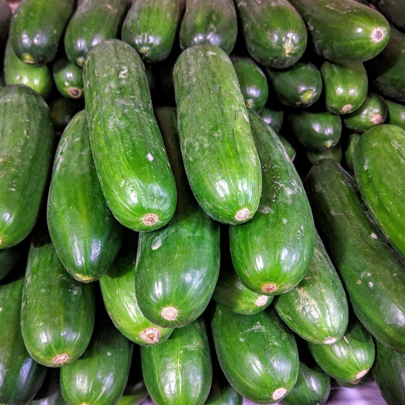 Cucumber Large Image