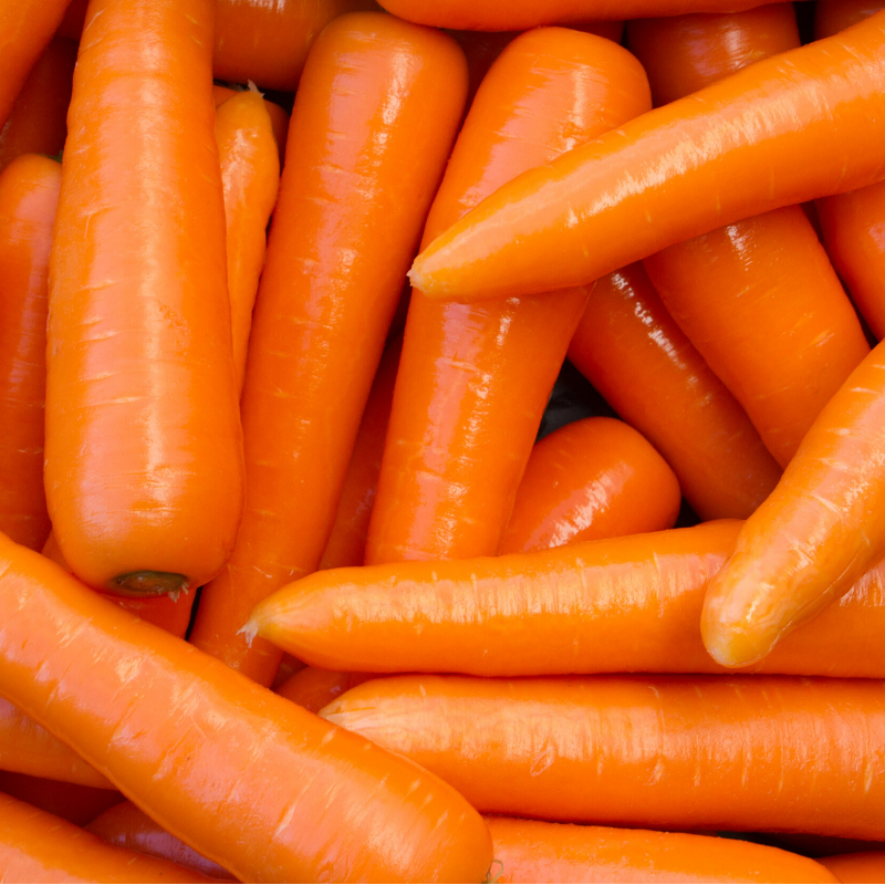 Carrot Main Image