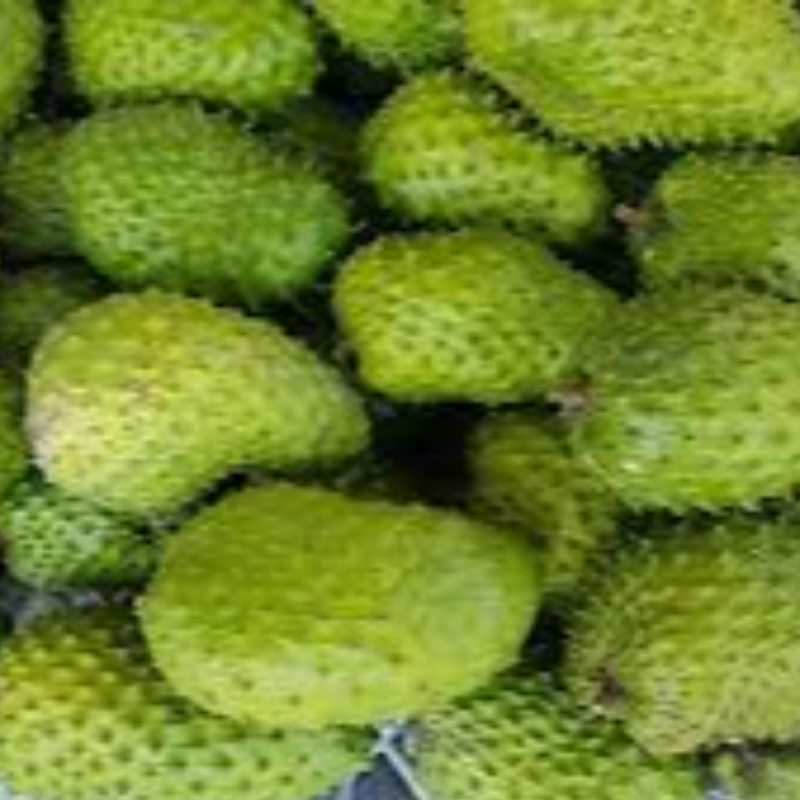 Soursop Main Image