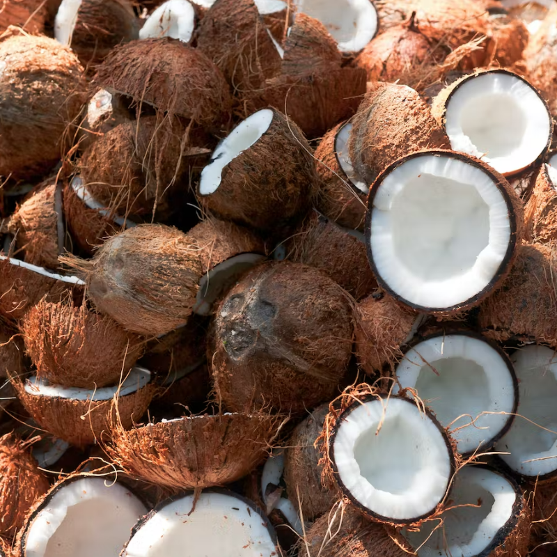 Coconut Large Image