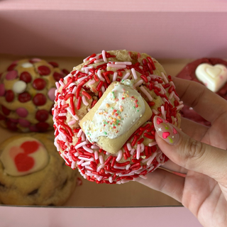 FEBRUARY Cookie of the Month #1- Strawberry Poptart