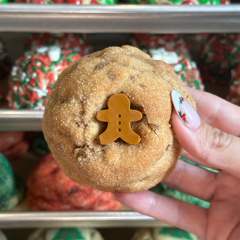 NOVEMBER/DECEMBER Cookie of the Month #1- Gingerdoodle