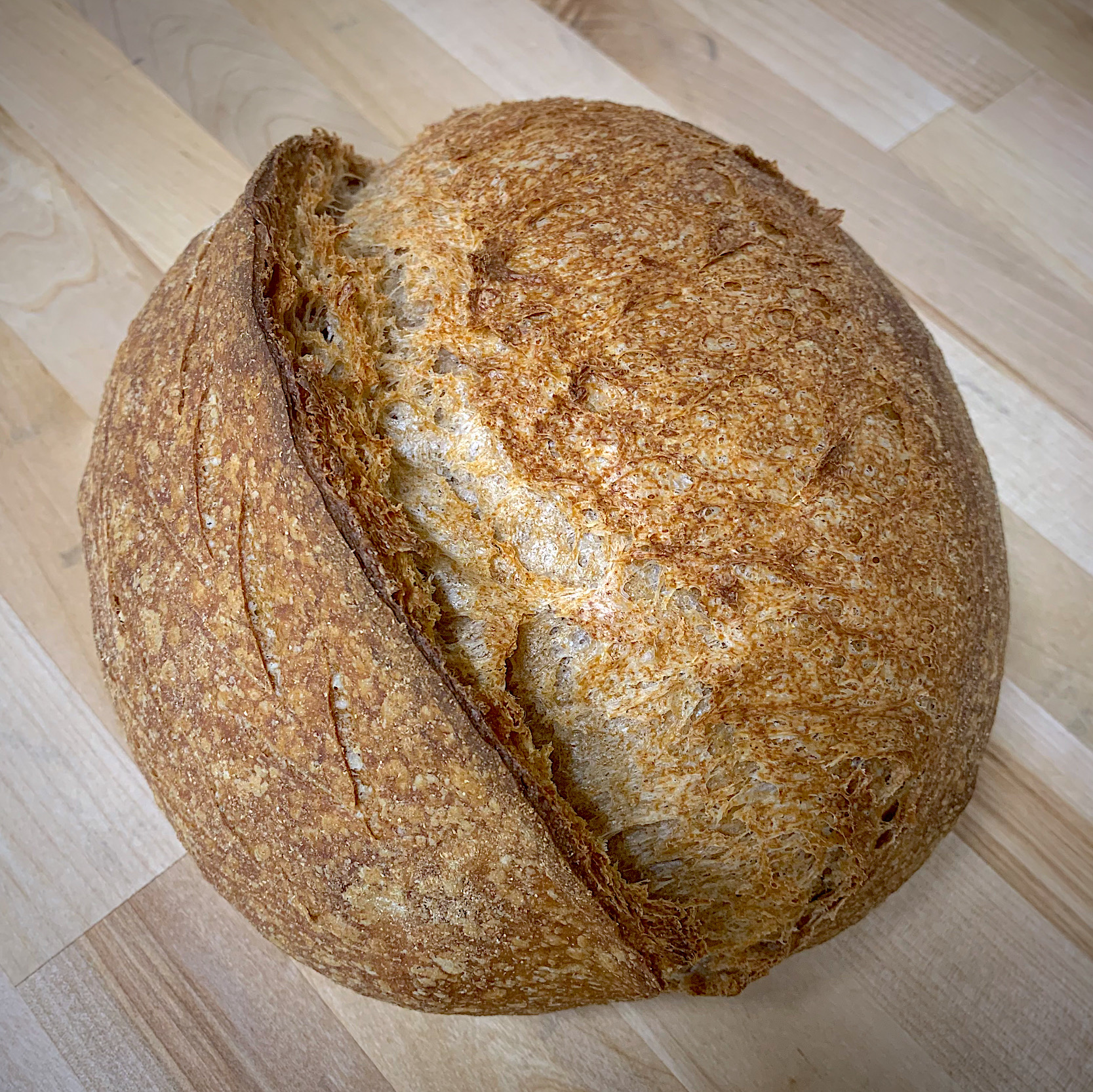 Whole wheat (60%) Main Image